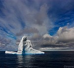 Iceberg